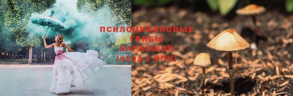 apvp Алексеевка