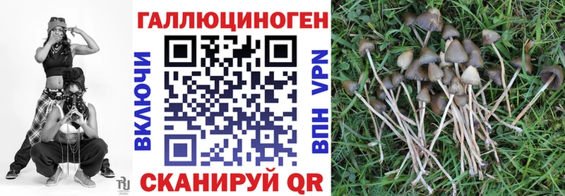 Псилоцибиновые грибы мицелий  KRAKEN вход  Буй 