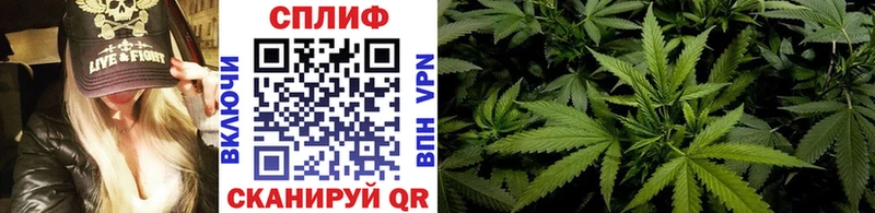 Конопля план  Буй 